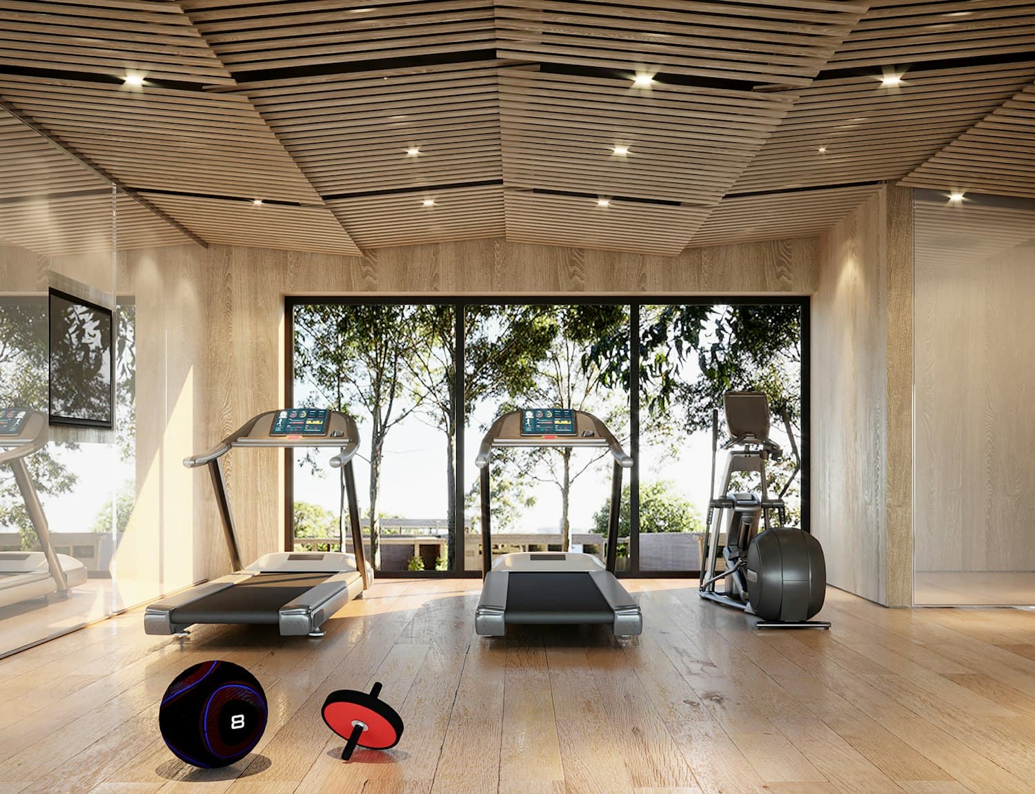 Gimnasios y estudios